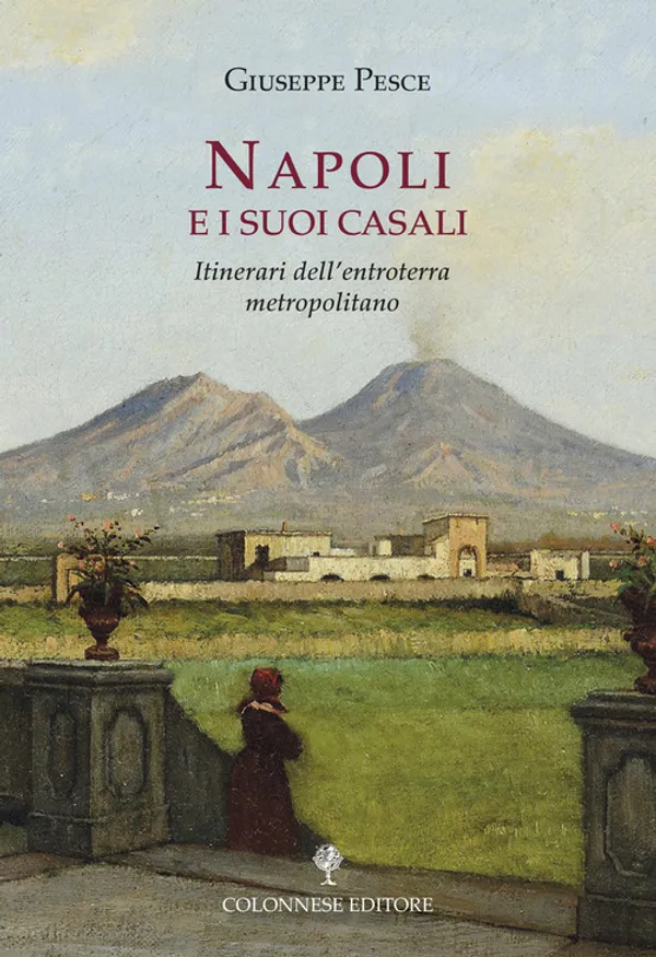 Copertina di Napoli e i suoi casali. Itinerari dell'entroterra metropolitano