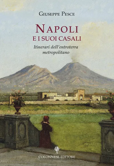 Copertina di Napoli e i suoi casali. Itinerari dell'entroterra metropolitano