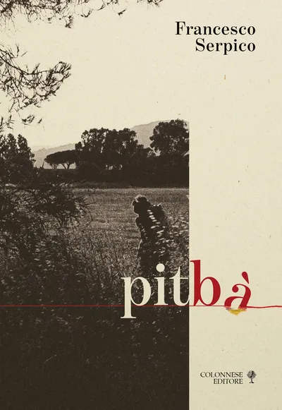Copertina di Pitbà. Di sentieri, di segni e altre didascalie