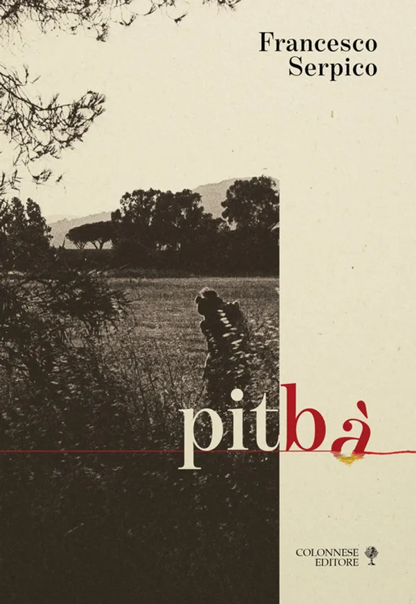 Copertina di Pitbà. Di sentieri, di segni e altre didascalie