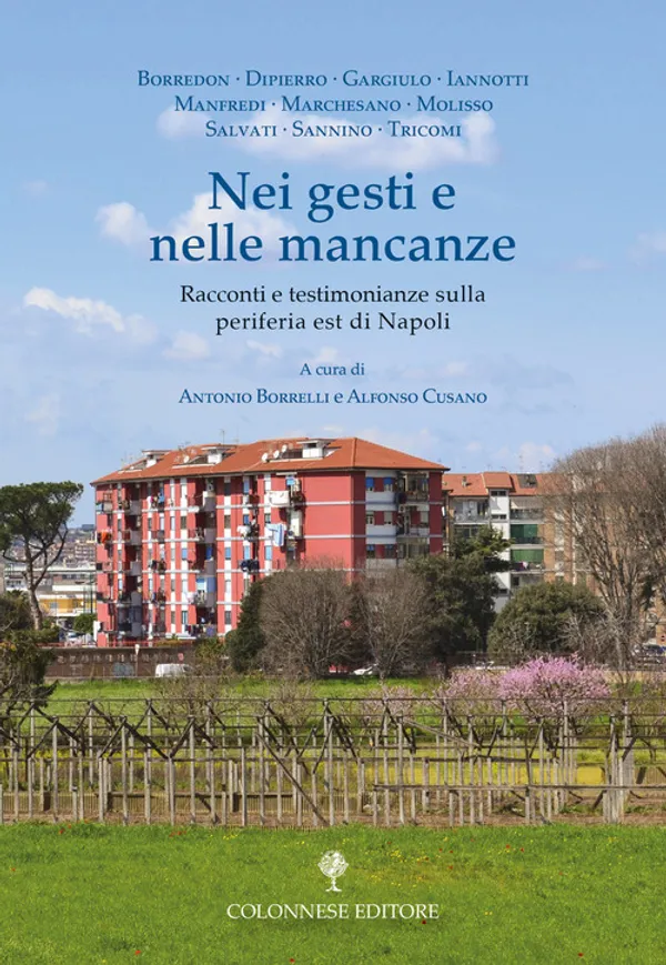 Copertina di Nei gesti e nelle mancanze. Racconti e testimonianze sulla periferia est di Napoli